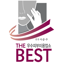 the우수피부미용업소BEST