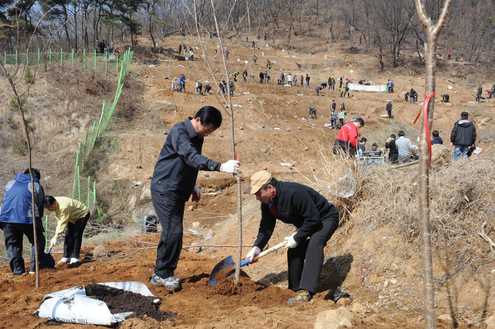 제67회 식목일 나무심기 행사 개최의 2번째 이미지