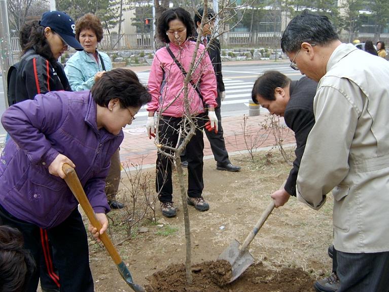 옥련2동, ‘옥련 감나무골’ 조성 나무심기 행사의 1번째 이미지