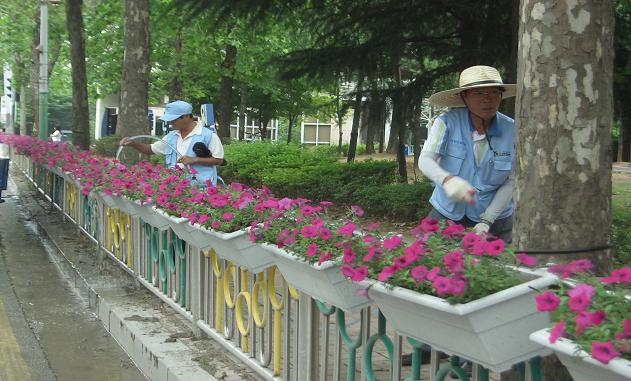 연수구, 희망프로젝트 사업 참여희망자 접수의 1번째 이미지