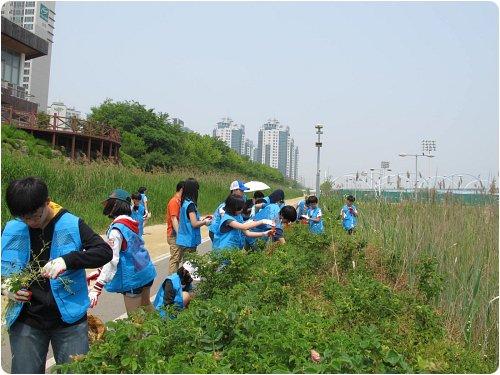 연수구자원봉사센터-청소년! 테마로 만나는 자원봉사- 생태교육및 유해식물 제거의 2번째 이미지